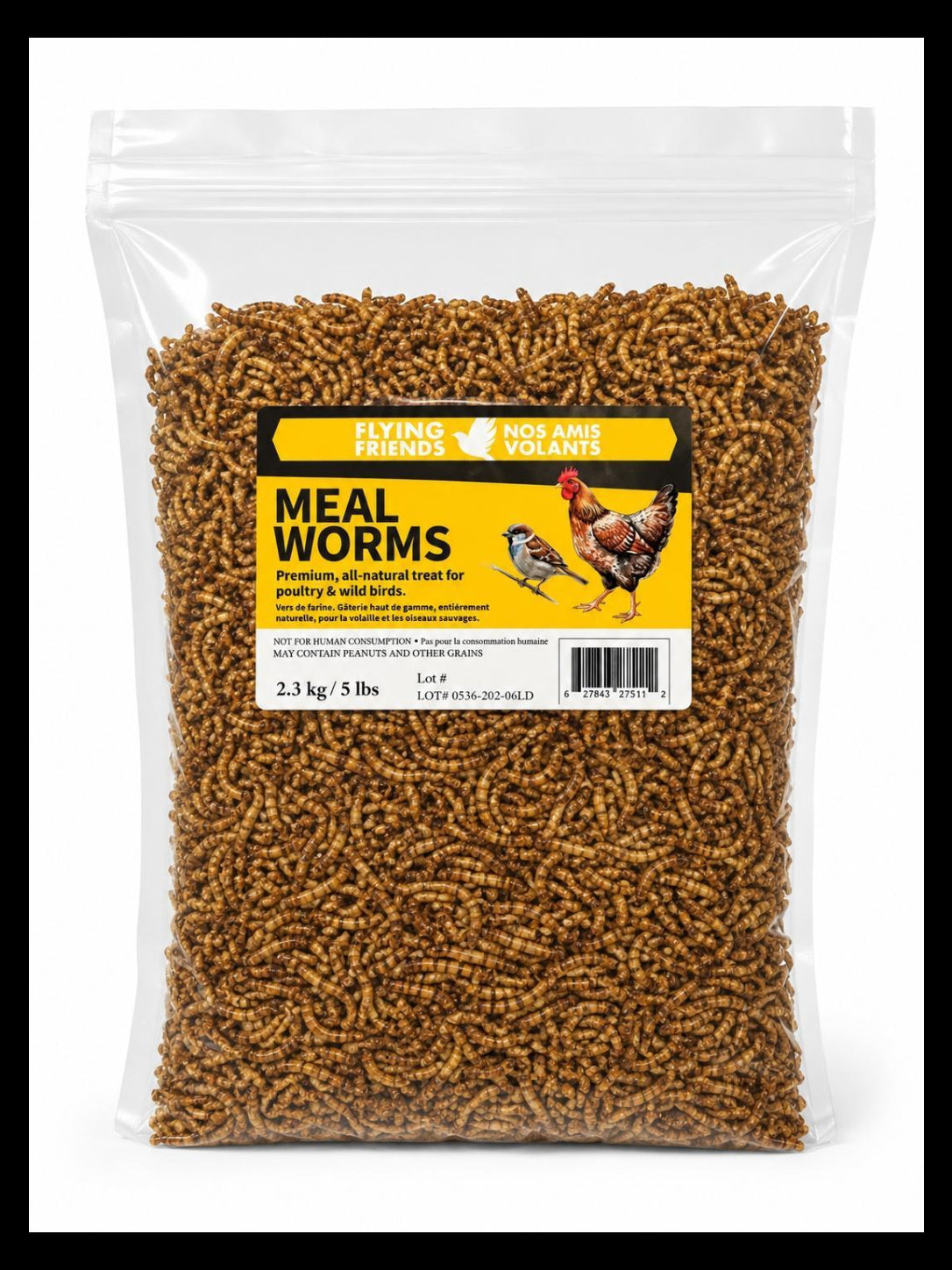 Flying Friends Premium Mealworms