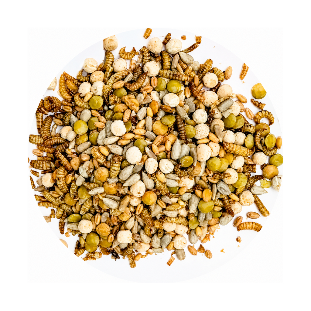 Country Pro Clucking Awesome Poultry Snack Mix 2.2KG