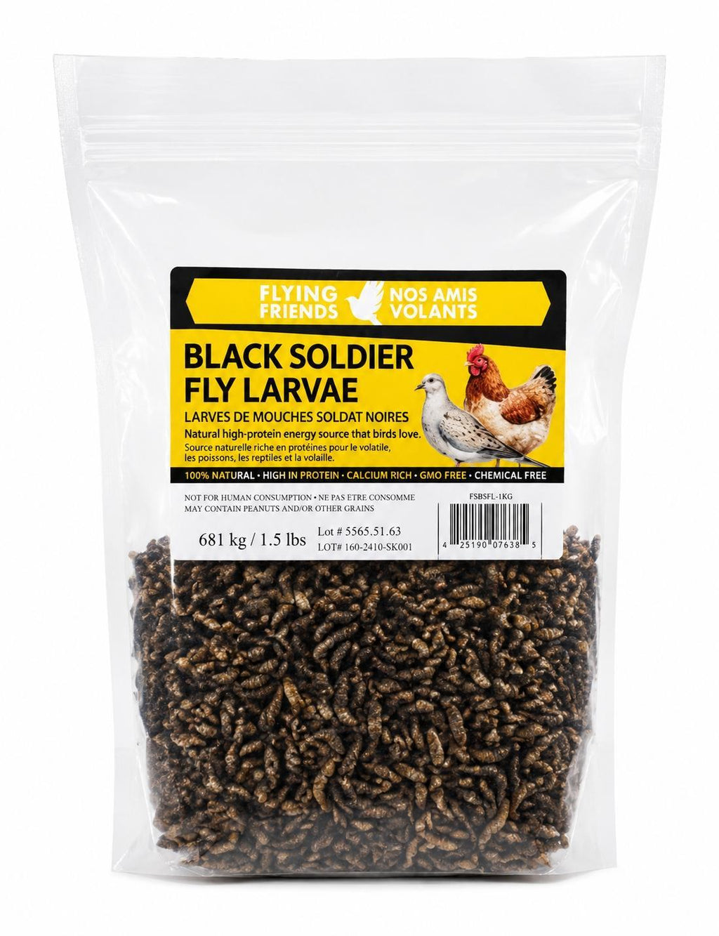 Black Soldier Fly Larvae (BSFL)