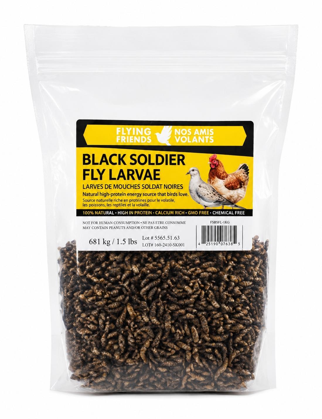 Black Soldier Fly Larvae (BSFL)