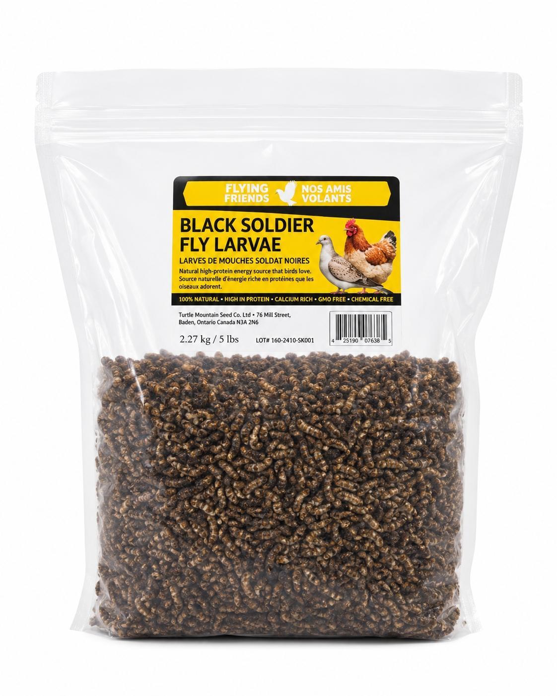 Black Soldier Fly Larvae (BSFL)