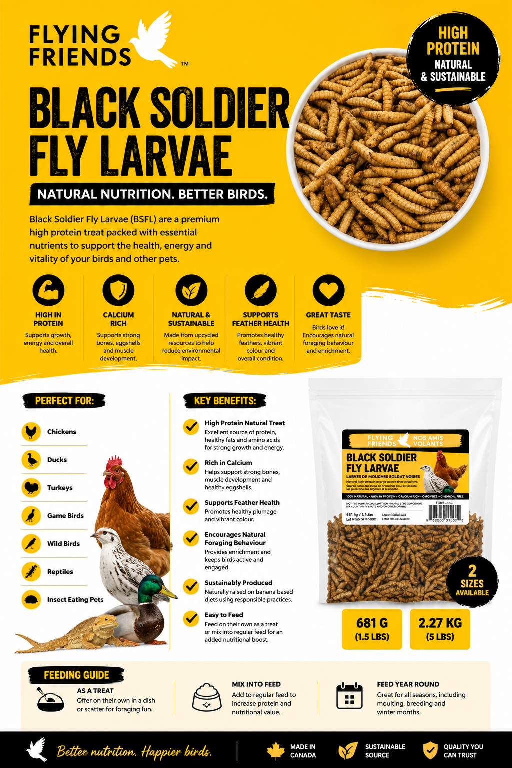 Black Soldier Fly Larvae (BSFL)