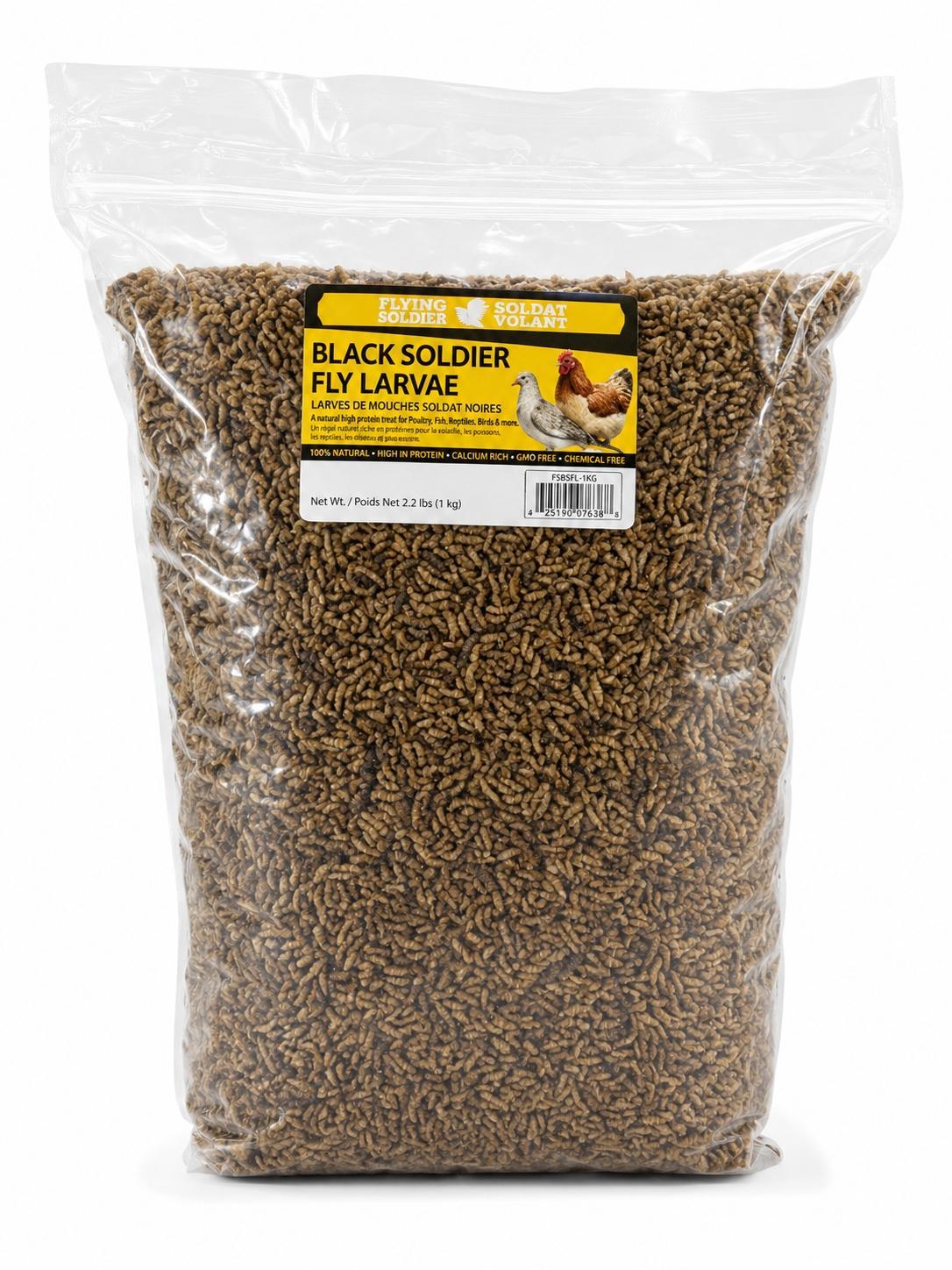 Black Soldier Fly Larvae (BSFL)