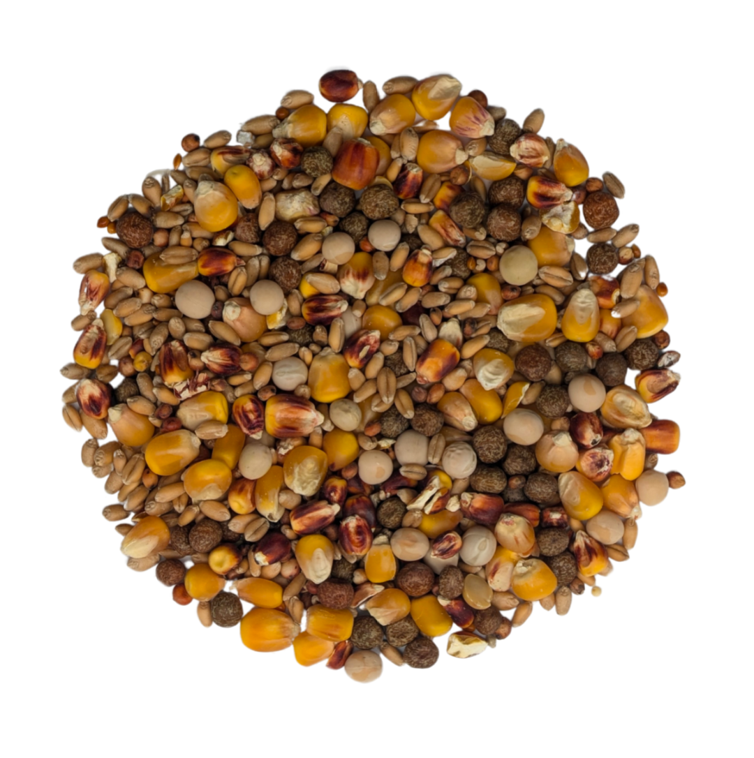 Baden Pigeon Mix 25 lb (11.34 kg) Premium Pigeon Feed Blend