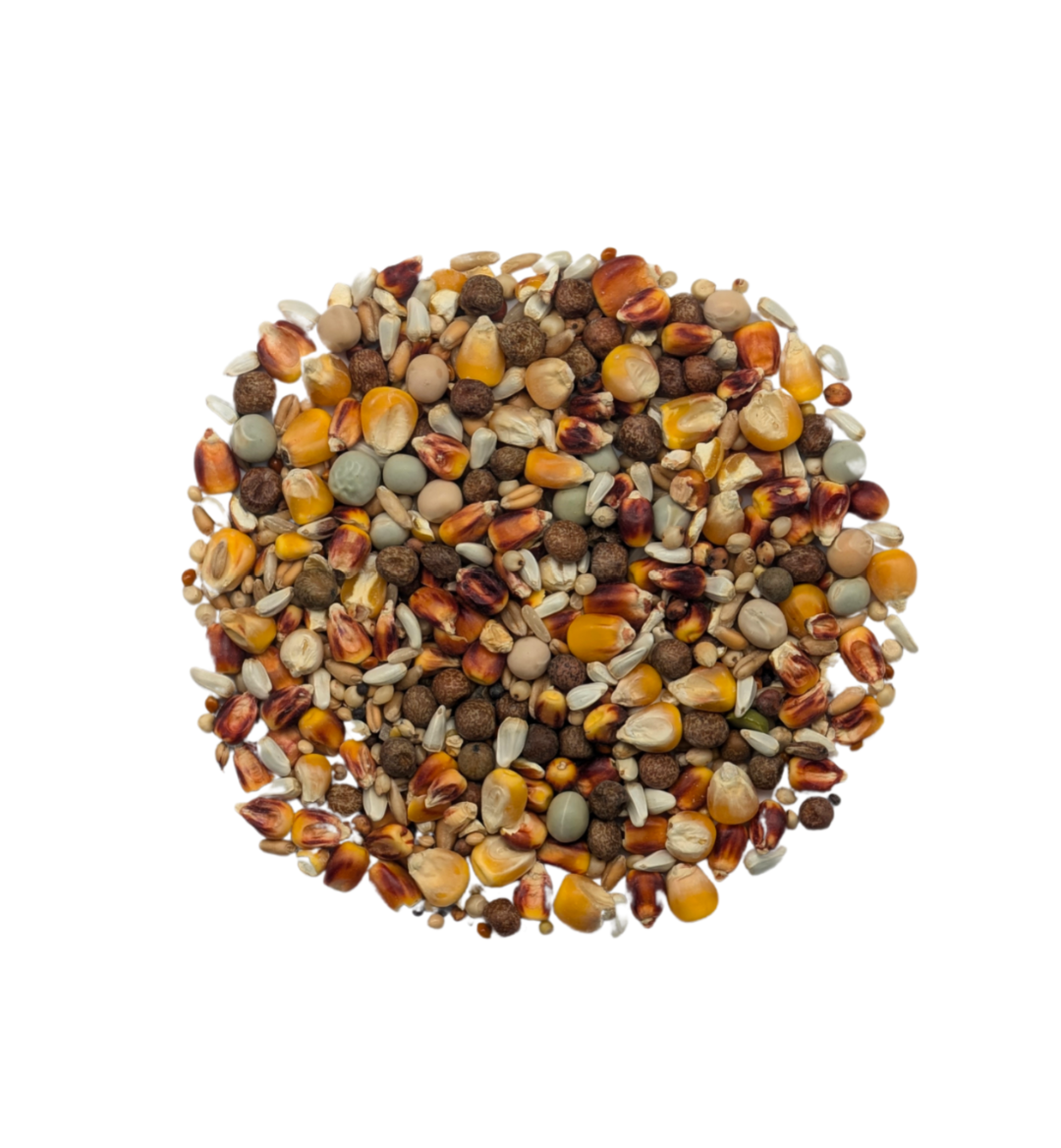 Baden Racing Mix 25 lb (11.34 kg) Performance Pigeon Feed Blend