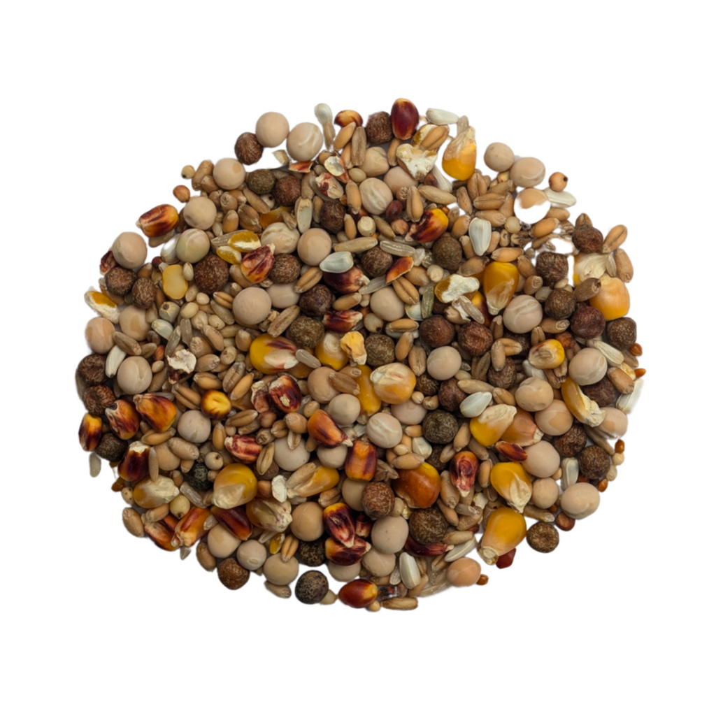 Baden Breeding Mix 25 lb (11.34 kg) High Protein Pigeon Feed Blend
