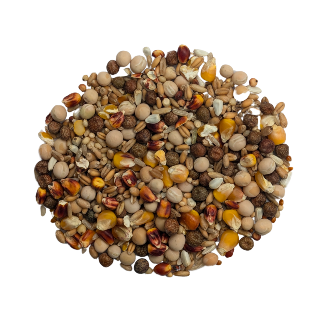 Baden Breeding Mix 25 lb (11.34 kg) High Protein Pigeon Feed Blend