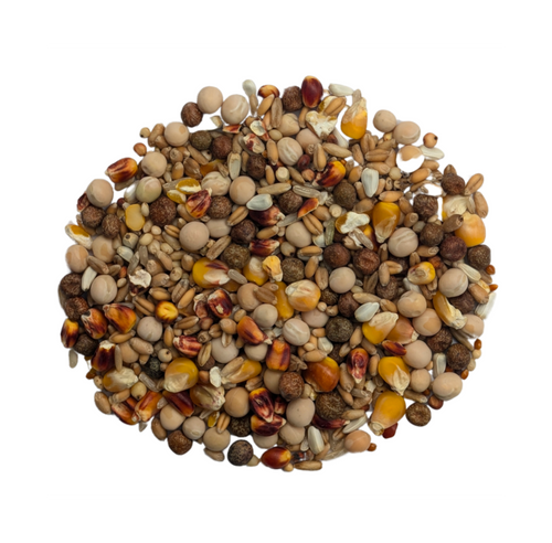 Baden Breeding Mix 25 lb (11.34 kg) High Protein Pigeon Feed Blend