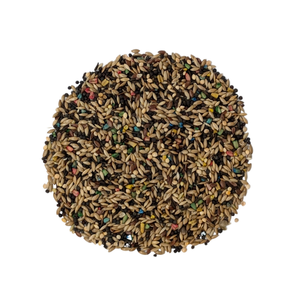 Canary Super Breeder+ Bird Feed 4 kg