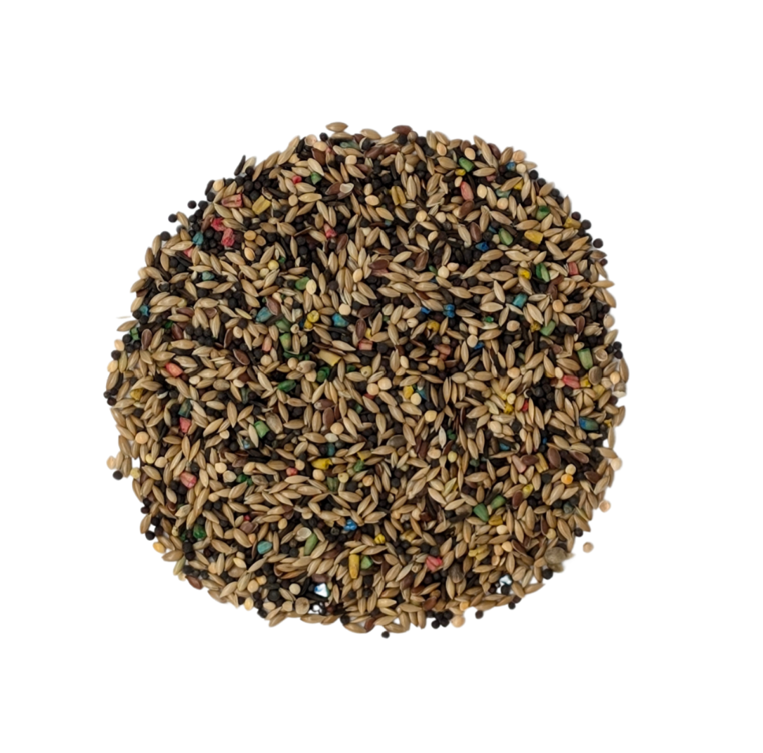 Canary Super Breeder+ Bird Feed 4 kg