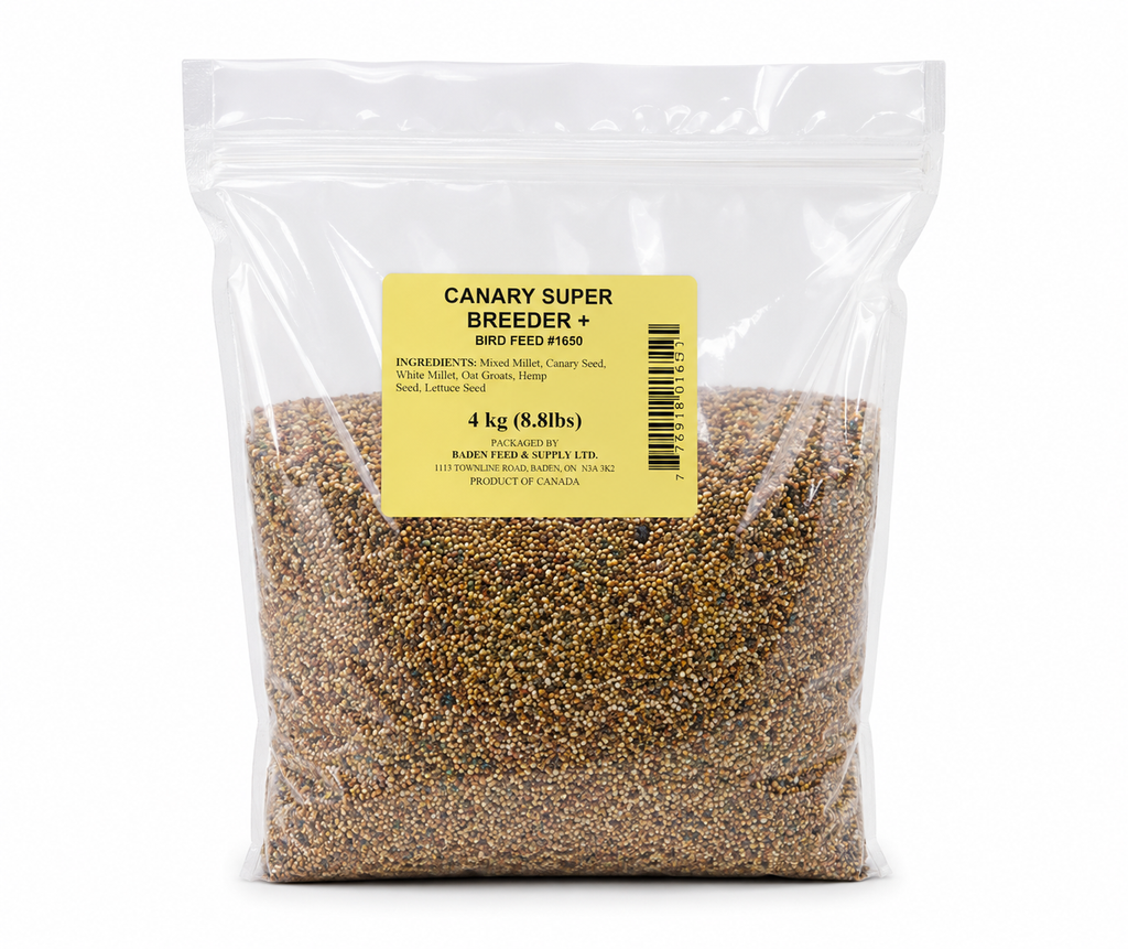 Canary Super Breeder+ Bird Feed 4 kg