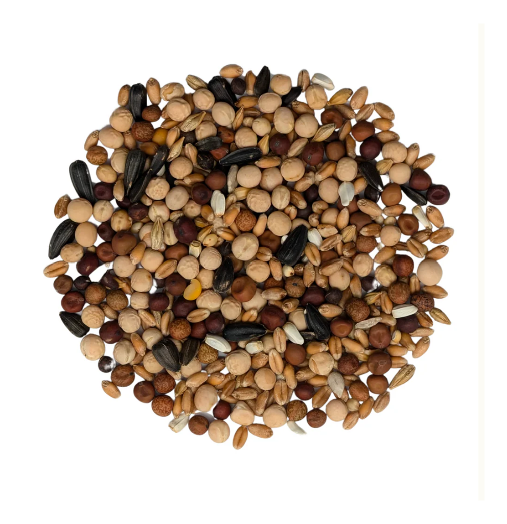 Baden Custom Pigeon (OZ) Feed #79 – 25 lb (11.34KG)