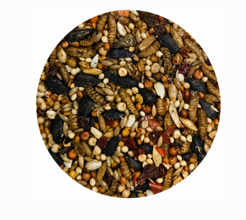 No Squirrel Wild Bird Seed Blend 9KG