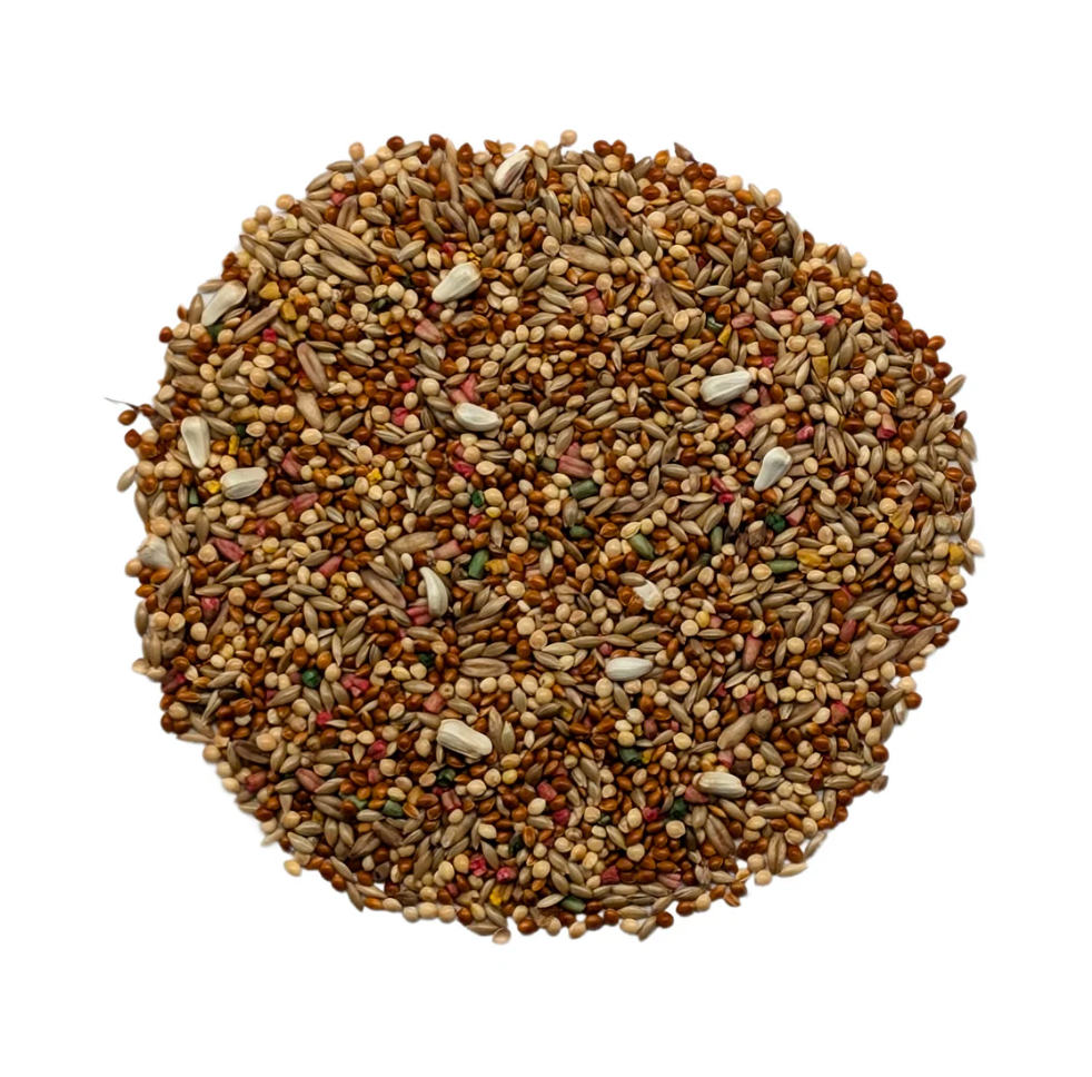 Parakeet Super Breeder+ Bird Feed 4 kg