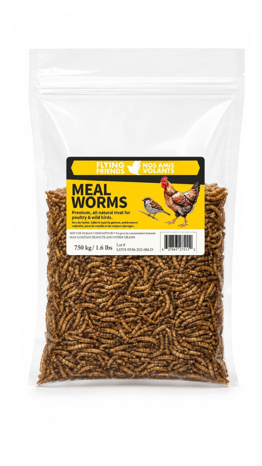 Flying Friends Premium Mealworms