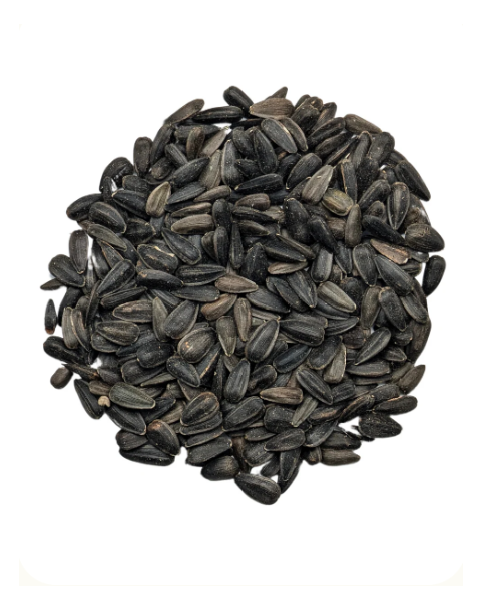 Premium Black Oil Sunflower Seed