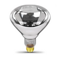 125W Clear Infrared Brooder Bulb