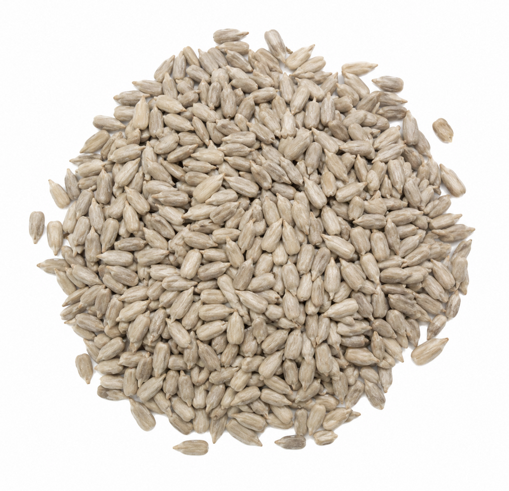 Black Oil Sunflower Coarse Kernels