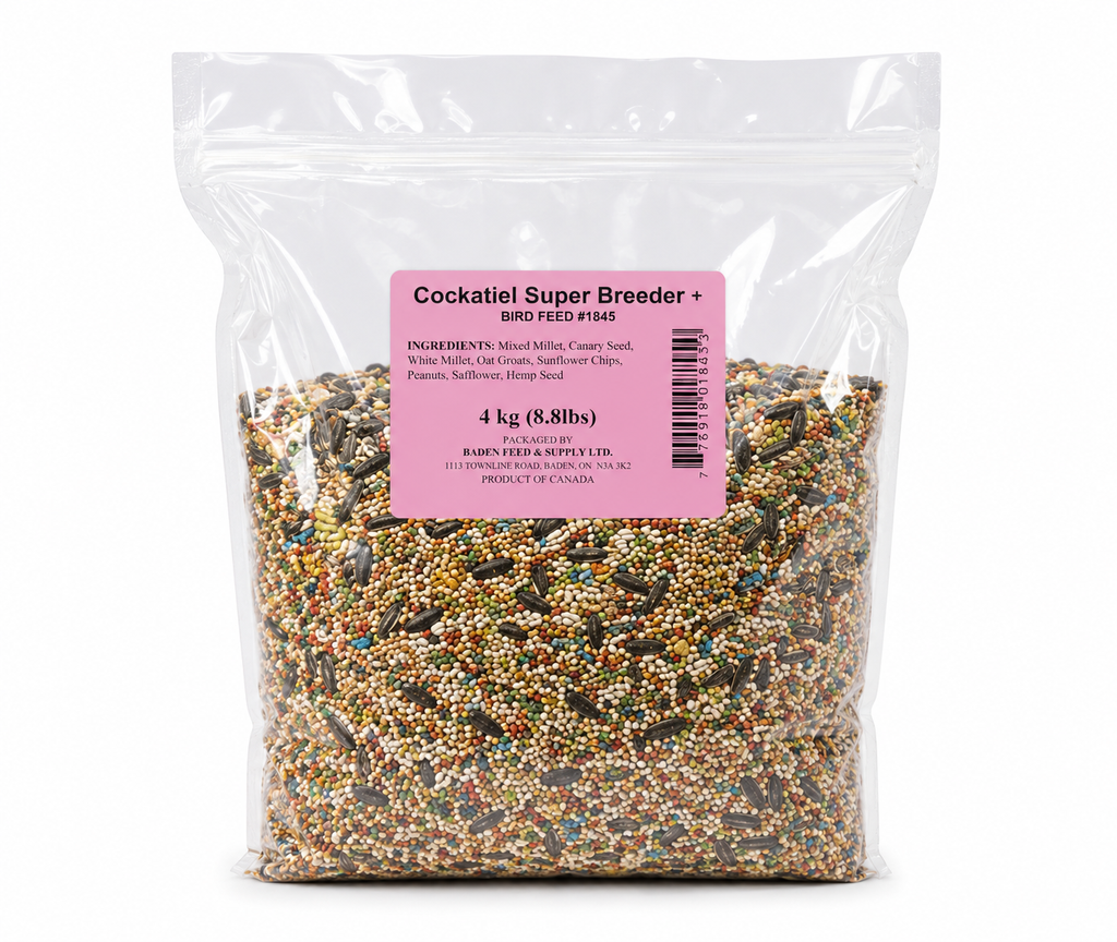 Cockatiel Super Breeder+ Bird Feed 4 kg