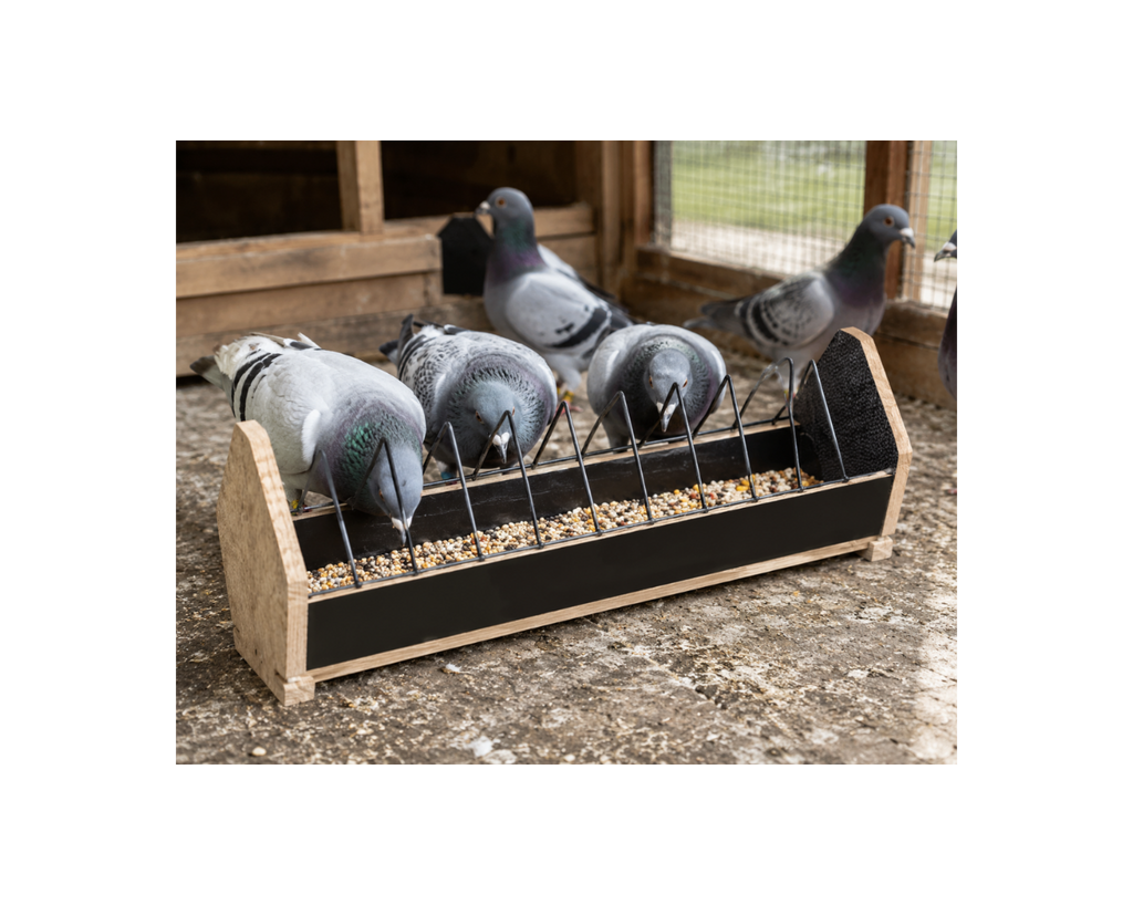 Wooden Pigeon Feeder with Anti-Waste Grill – 25 & 50CM