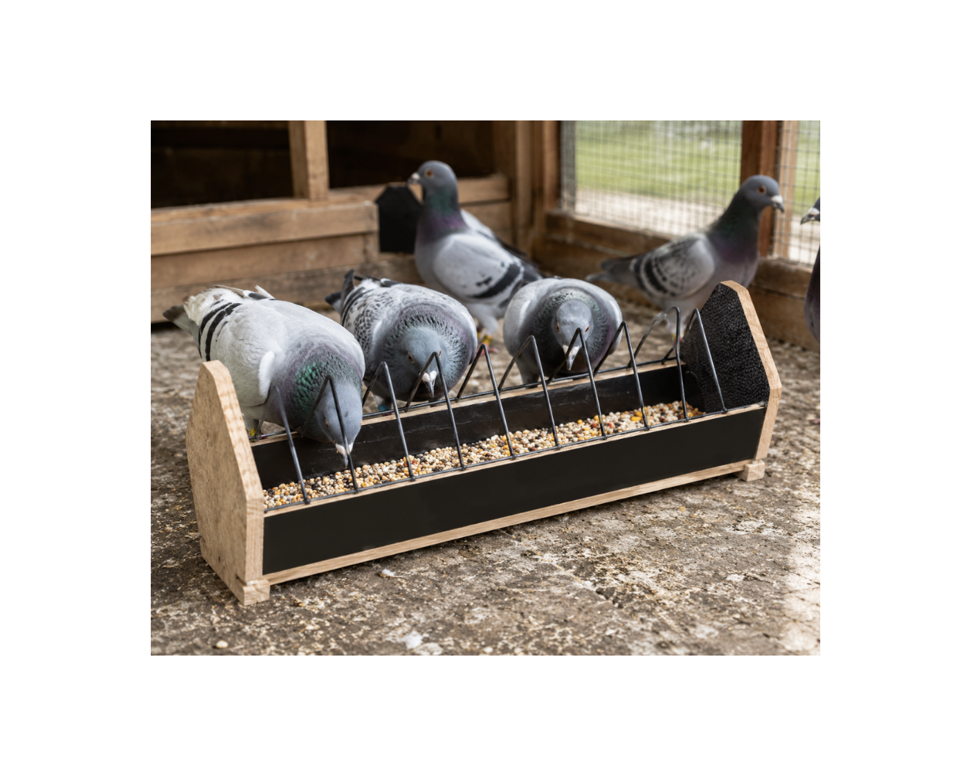 Wooden Pigeon Feeder with Anti-Waste Grill – 25 & 50CM
