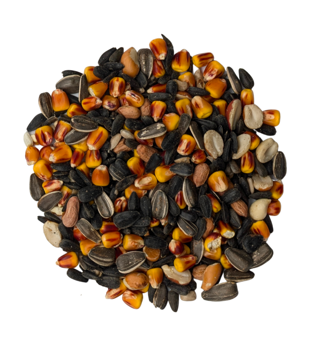 Jays Joy Premium Wild Bird Seed Blend