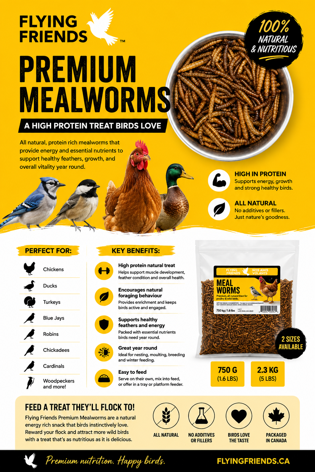 Flying Friends Premium Mealworms