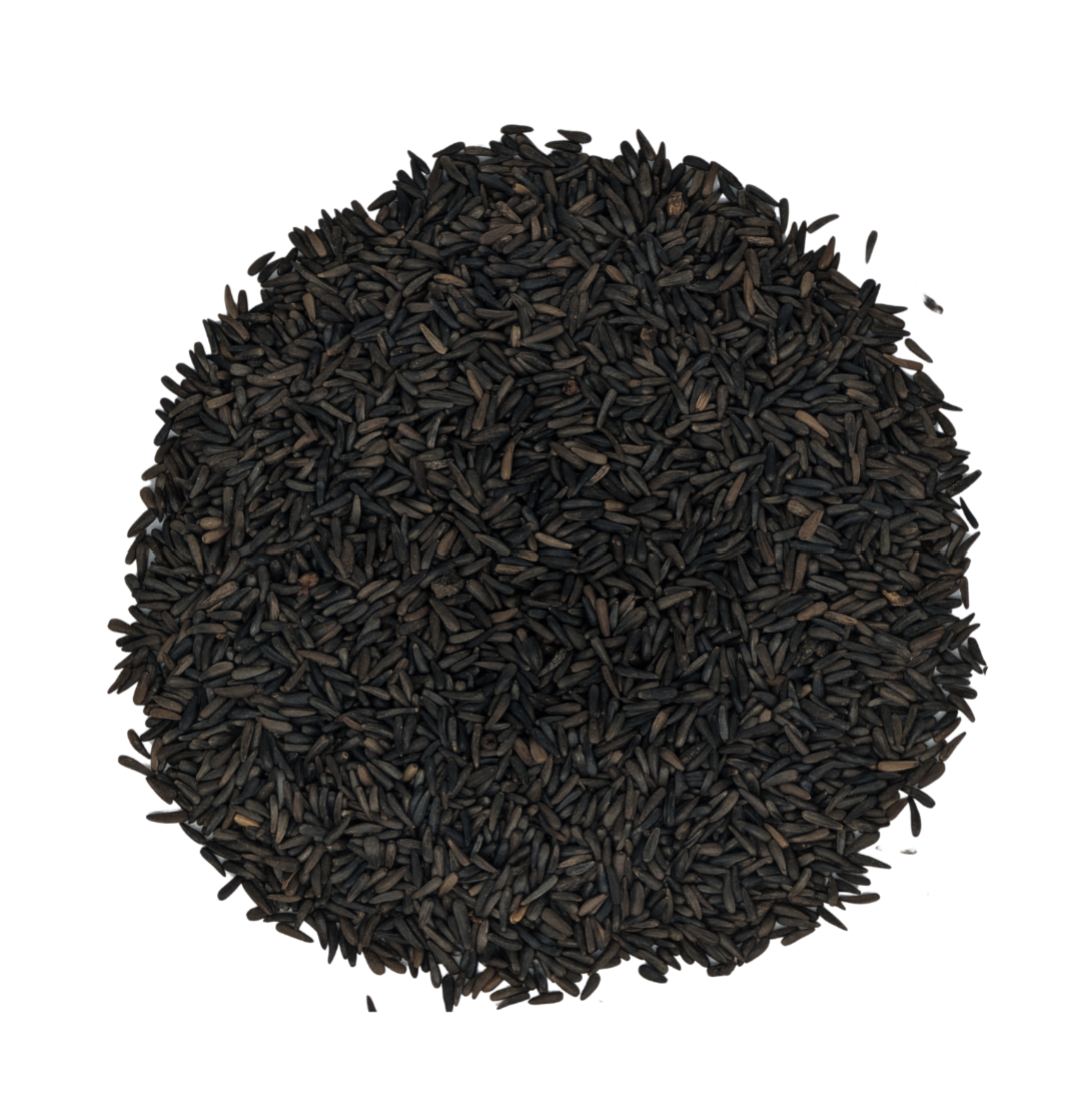 Nyjer Seed Premium Finch Feed