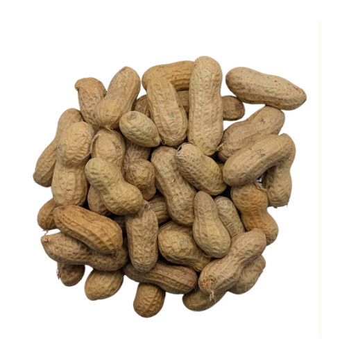 Premium Peanuts In Shell for Wild Birds