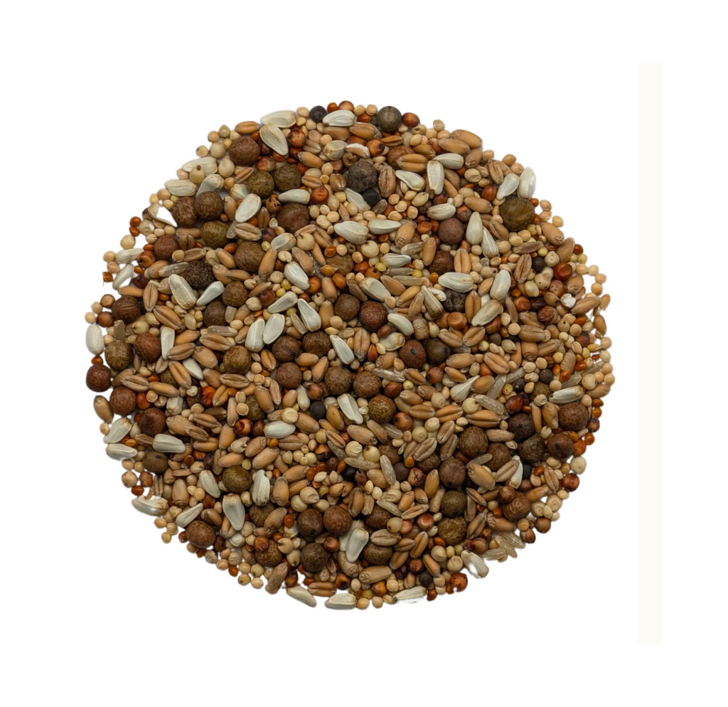 Baden MB Shortface No Corn Pigeon Feed #123 – 25 lb (11.34KG)