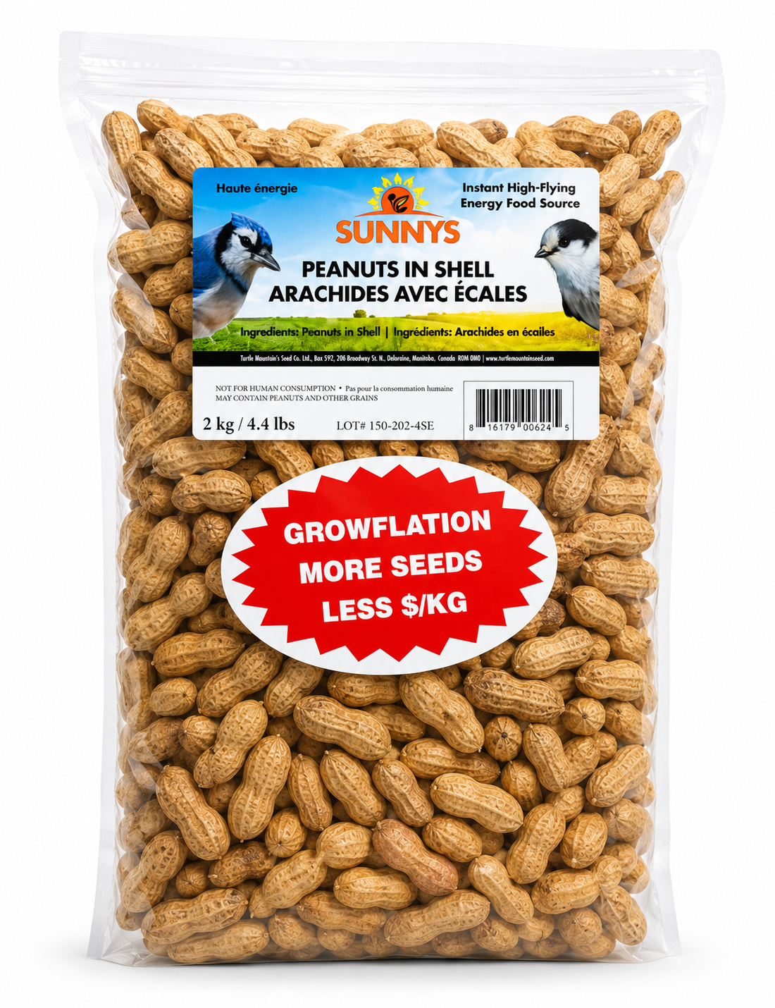 Premium Peanuts In Shell for Wild Birds