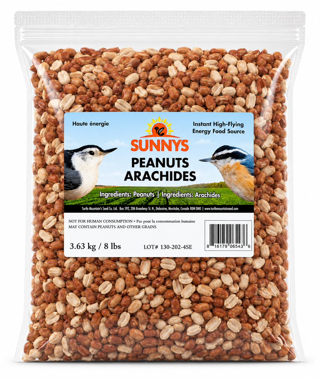 Premium Wild Bird Peanuts