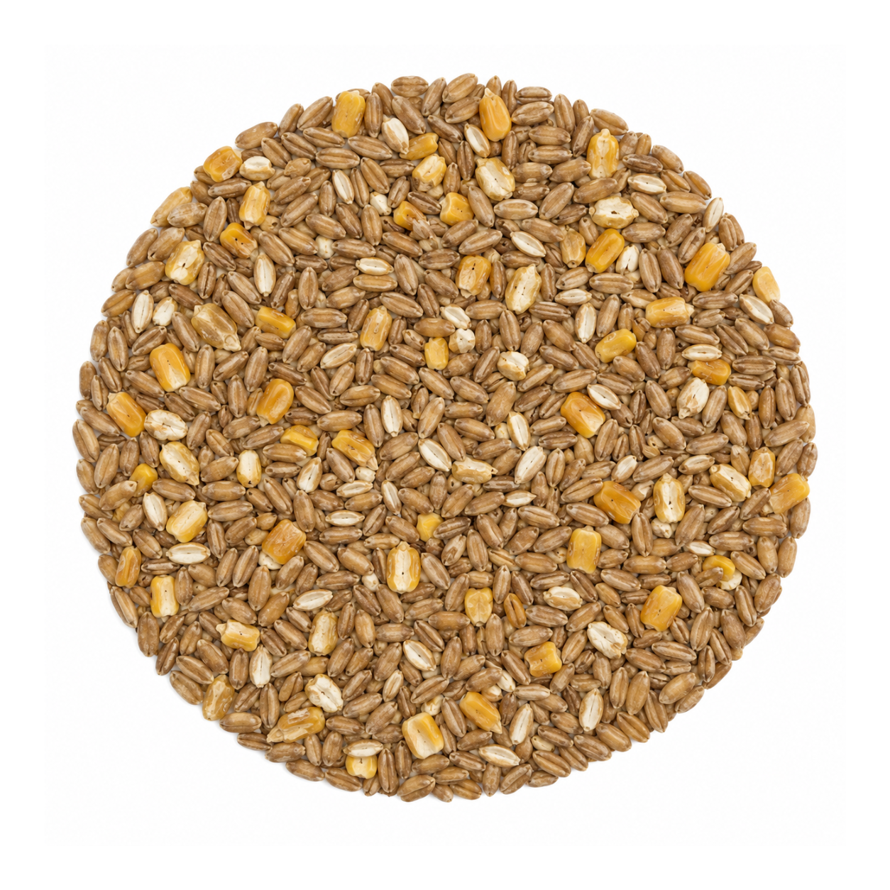 Country Pro Feed Poultry Starter 22% Non Medicated – 4 kg