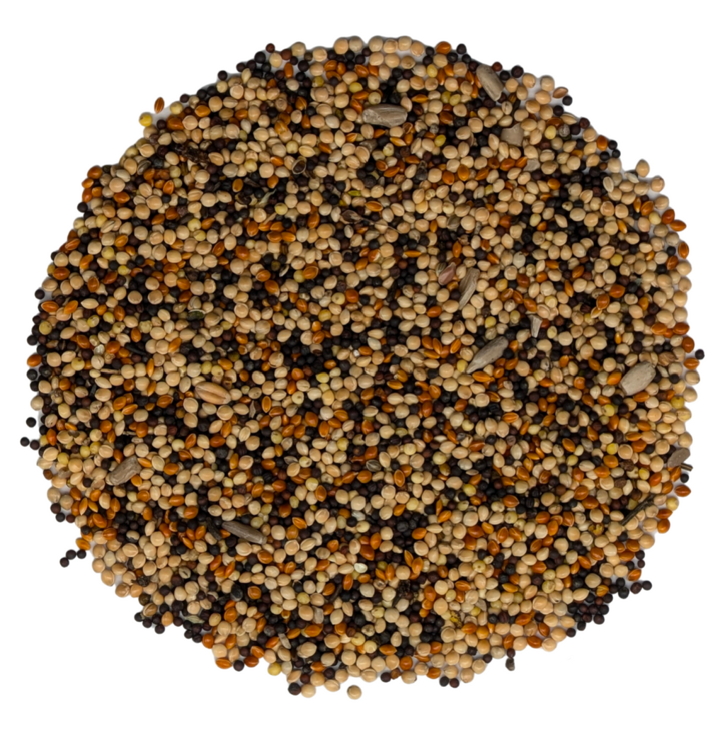 Little Beaks Premium Wild Bird Seed